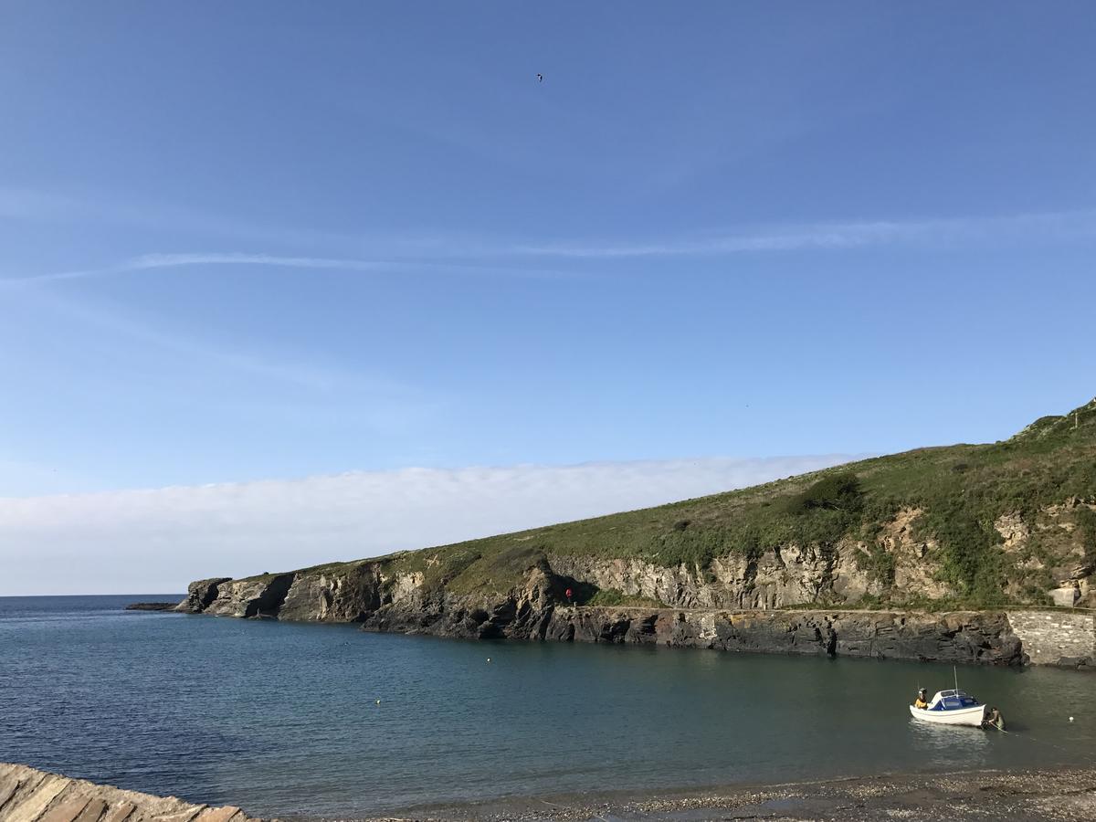 Stargazy Inn Port Isaac Dış mekan fotoğraf